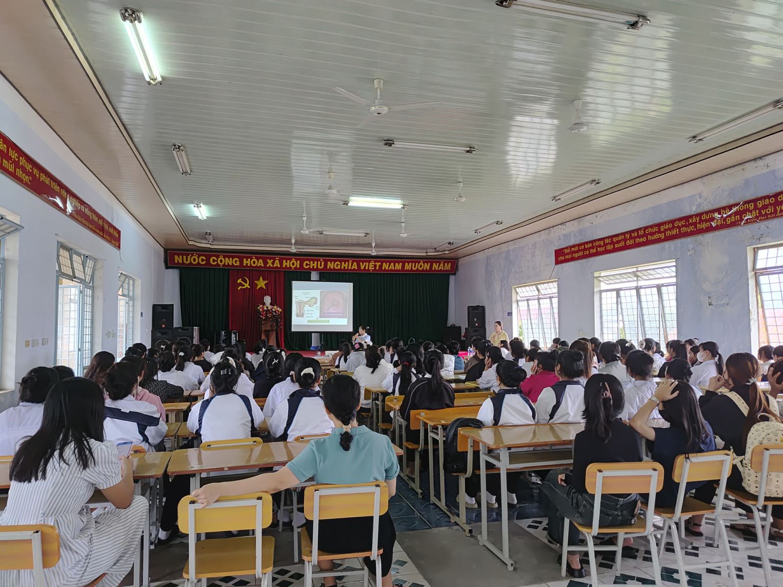 Truyền thông sức khỏe học đường