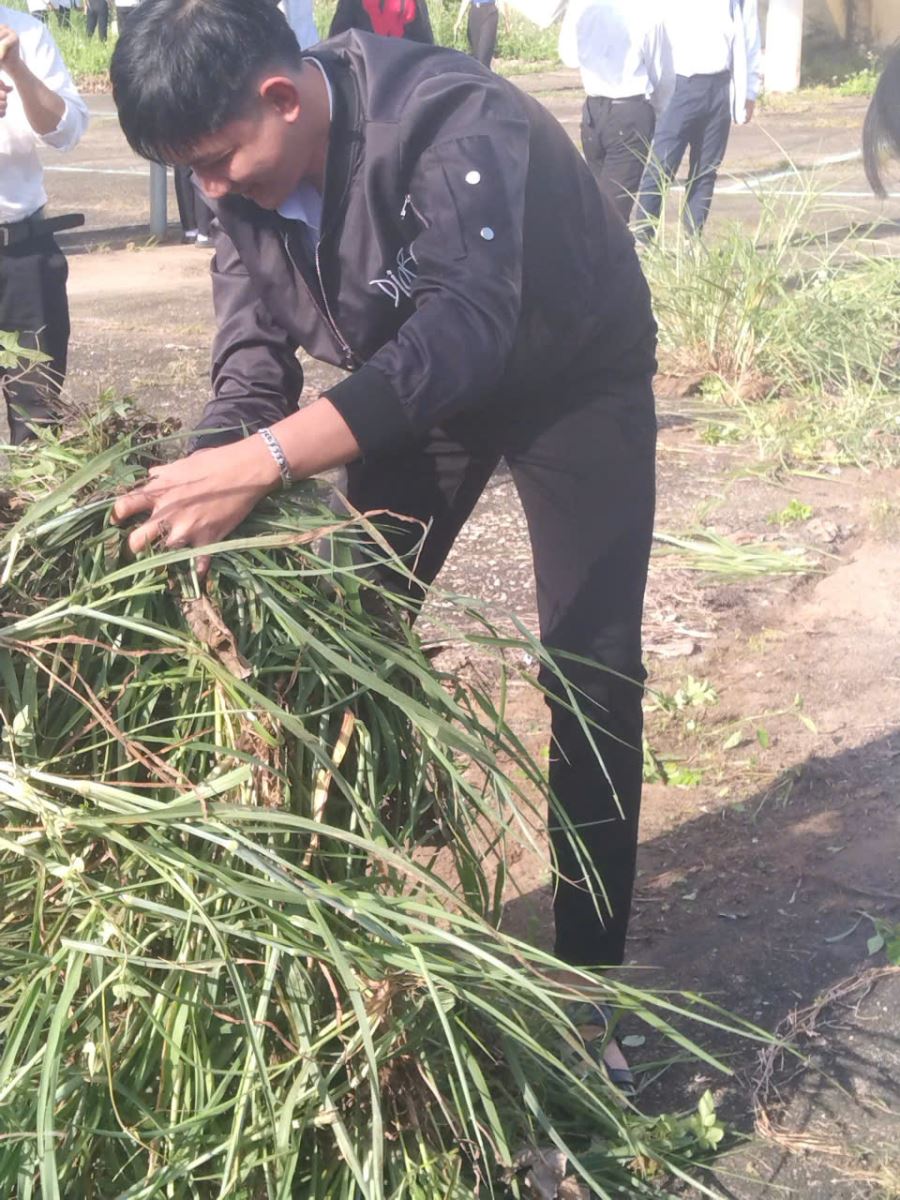 Trường học xanh- sạch- đẹp